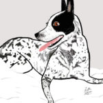 little love press custom pet portrait illustration