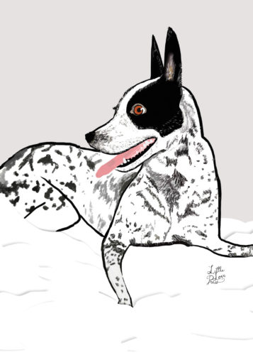 little love press custom pet portrait illustration