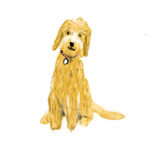 Instagram ready custom portrait illustration - pet