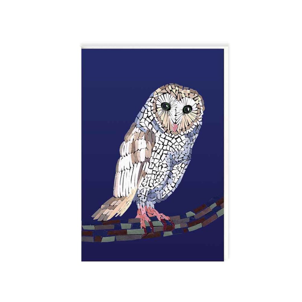 little-love-press-mini-owl-enclosure-card