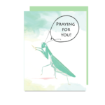 little love press hand illustrated praying mantis praying for you sympathy folded note card