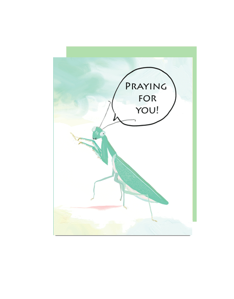 little love press hand illustrated praying mantis praying for you sympathy folded note card