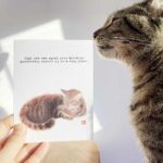 little love press purrfectly cozy birthday cat