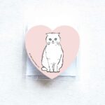 little-love-press-scottish-fold-cat-heart-flat-notecards-set